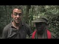 Gorilla Trekking in Bwindi Impenetrable Forest