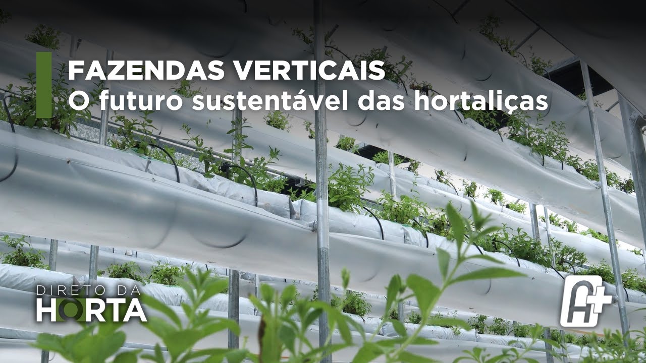 Fazendas verticais: o futuro sustentável das hortaliças