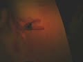 battle express vs hbx.wmv battle express vs hbx.wmv