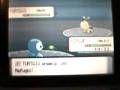 videos de PKMN Juego Dificil 1st evolution:1ª contra Rodolfo