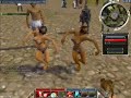 Guild Wars / Taniec z Gwiazdami