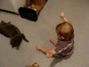 videos de 9-Month Baby Plays with Kitty