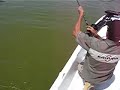 fin du combat avant les traditionnelles photos et remise � l'eau du poisson.
