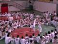 videos de Ratinho Batizado Soluna Novembre 2008