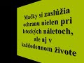 Mačky by Borčik .avi