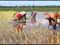 Click to View : គម្រោងកាត់បន្ថយទឹកជំនន់និងភាពរាំងស្ងួតនៅខេត្តបន្ទាយមានជ័យ