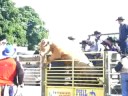 equiblues 2008 st agreve france rodeo