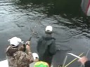 King Salmon Fishing With Guide Ken Teune King Salmon Fishing With Guide Ken Teune