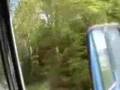 Scania-Vabis LBS76 Skillingaryd