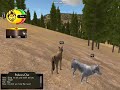 Wolfquest:Races