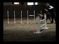 Alisa AKC Agility Trial Jumpers with Weaves Novice B