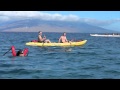 Swimming DEER Rescued from the SEA at Wailea ...