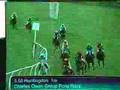Huntingdon Pony race