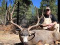 Big Game Hunting in Colorado