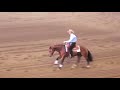 FEI World Reining Championship 2008, #2: Diaro Carmignani ITA FEI World Reining Championship 2008, #2: Diaro Carmignani ITA