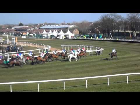 grand national 2013