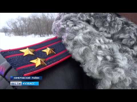 YouTube Трейлер