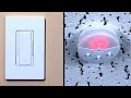 Click here to watch this video Como coenctar e calibrar sensor de luz natural Radio Powr Savr com o dimmer Maestro Wireless