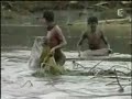 homo sapiens : une esp�ce en voie d\