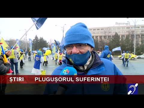 Plugușorul suferinței