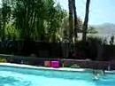 pool party pool party