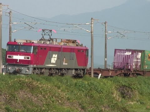 EH500金太郎牽引 高速貨物列車