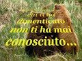 Amicizia Amicizia