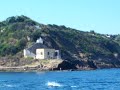Delfini a Procida