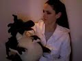 Dragon Puppet Hilary Duff Britney Spears Katie Couric