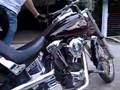 Narn: softail custom