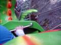 videos de the um 'scary rollercoaster'