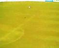 SG FIFA GOAL