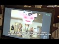 Vision Library for PlayStation Eye  : DigInfo