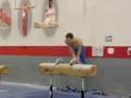 US Men Gymnastic Team In SHAMBLES ? Shot EARLIER THIS YEAR! Our Olympic Hopefuls Injured?