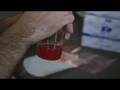 The 23andMe Team Extracts DNA