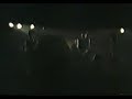 roosters video