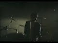 roosters video
