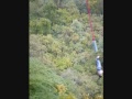 Bungee Cola De Caballo