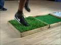 Cleat Test