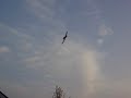 Crop Duster skimming right overhead. I would love to be able to do this. It seems like a job that would never get old.