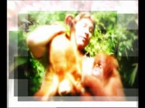 Steve Irwin - Most Dangerous Encounters (Part 1)