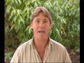 Steve Irwin - Most Dangerous Encounters (Part 1)