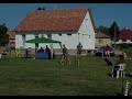 Mudi Luca's agility runs in MudiViadal