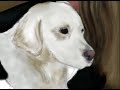 youre my best friend cali  speed painting by nico di mattia