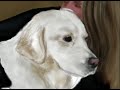 youre my best friend cali  speed painting by nico di mattia