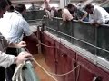 Apartado corrida toros 060807 Vitoria-Gasteiz