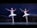 Swan Lake - Tchaikovsky