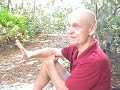 HIV /  AIDS CureMovie Segment 1 Salmonellosis