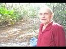 HIV /  AIDS CureMovie Segment 1