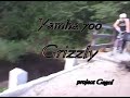 Yamaha Grizzly  700